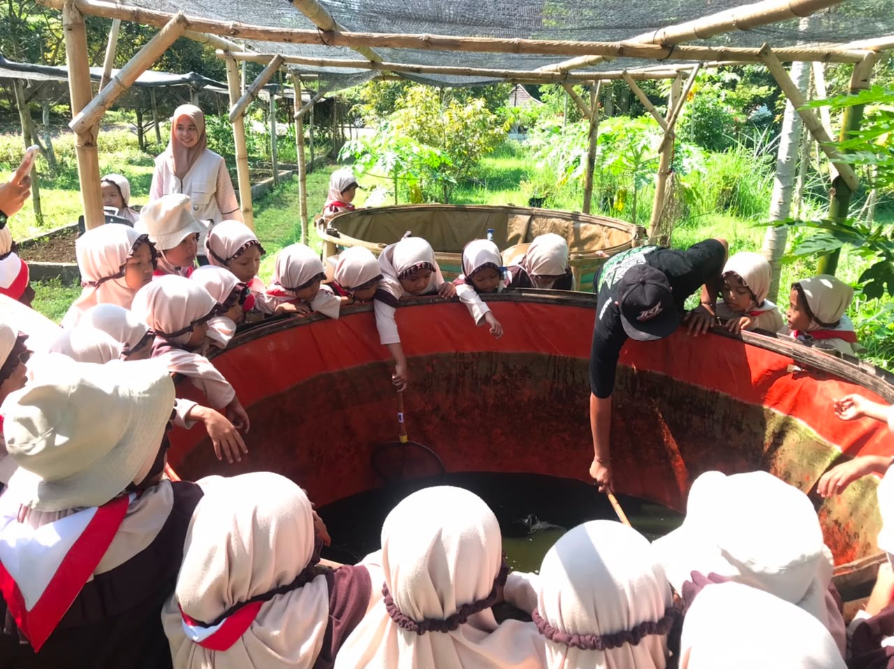 Keseruan Outing Class Kelompok A dan B di Seger Nusantara: Belajar Seru Bersama Alam